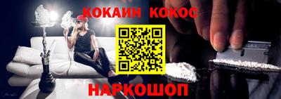 крисы Славгород