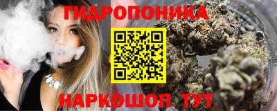 крисы Славгород