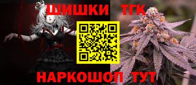 крисы Славгород