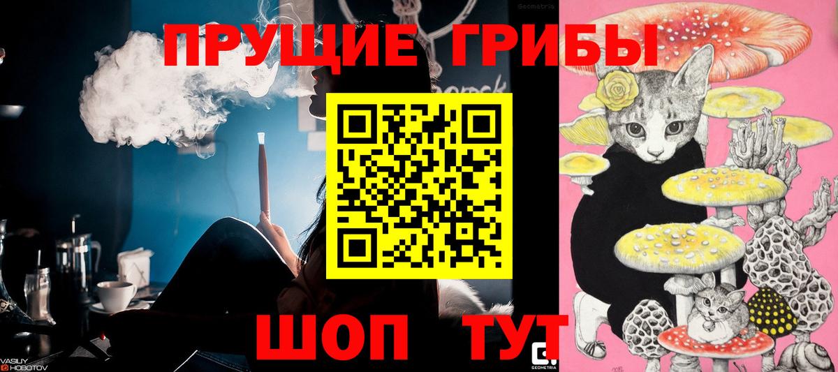 Псилоцибиновые грибы мухоморы Черногорск
